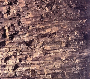 ALICE Ⅵ +4(初回生産限定盤)(SHM-CD)