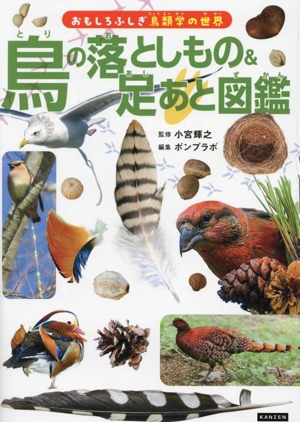 鳥の落としもの&足あと図鑑おもしろふしぎ鳥類学の世界
