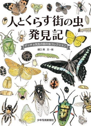 人とくらす 街の虫 発見記 ゲッチョ先生の街の虫コレクション