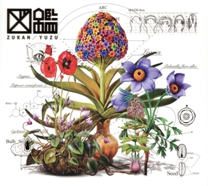 図鑑(初回生産限定盤)(DVD付)