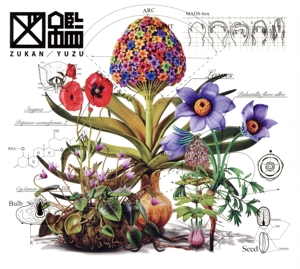 図鑑(初回生産限定盤)(Blu-ray Disc付)