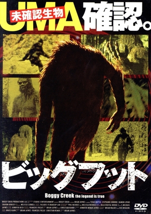ビッグフット UMA確認