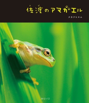 佐渡のアマガエル ネイチャー絵本シリーズ