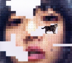 猫にジェラシー(初回限定Blu-ray盤)(2Blu-ray Disc付)