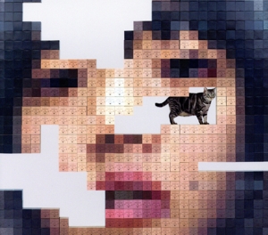 猫にジェラシー(初回限定DVD盤)(2DVD付)