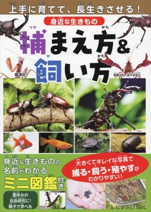 身近な生きもの 捕まえ方&飼い方 上手に育てて、長生きさせる！