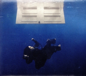 【輸入盤】HIT ME HARD AND SOFT(RETAILER EXCLUSIVE CD + POSTER)