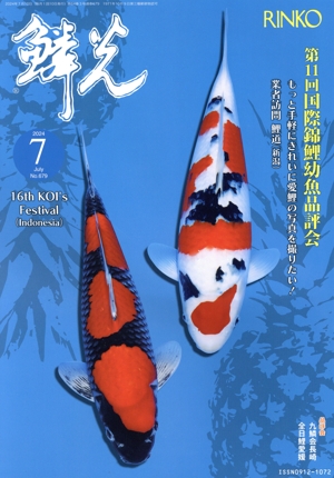 鱗光(No.679) 第11回国際錦鯉幼魚品評会