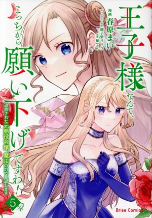 王子様なんて、こっちから願い下げですわ！(5) 追放された元悪役令嬢、魔法の力で見返します ブリーゼC