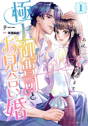 極上御曹司とお見合い婚(1) お試し恋愛始めます マーマレードC