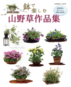 鉢で楽しむ山野草作品集 栽培管理のポイントと鉢植え実例集 別冊趣味の山野草