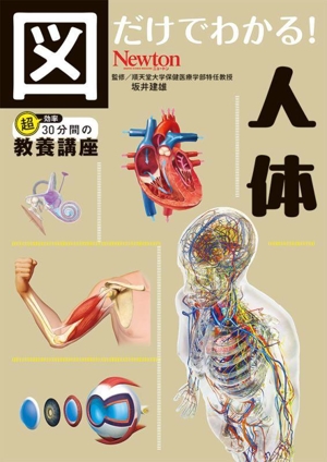 図だけでわかる！ 人体 超効率30分間の教養講座