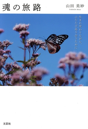 魂の旅路 生まれ変わりながら、ふたたび巡り会うために