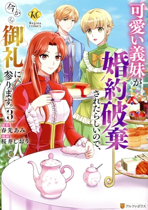 可愛い義妹が婚約破棄されたらしいので、今から「御礼」に参ります。(3) レジーナC