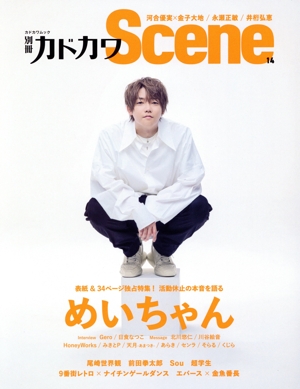 別冊カドカワ Scene(14) めいちゃん カドカワムック