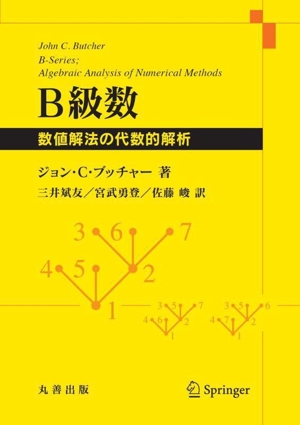 B級数 数値解法の代数的解析