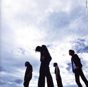 WILD BUNNY BLUES/野うさぎのブルース(初回限定盤)(DVD付)