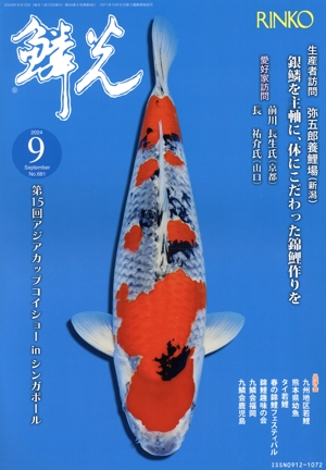 鱗光(No.681) 第15回アジアカップコイショーinシンガポール