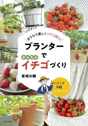 プランターでかんたんイチゴづくり おうちで楽しくイチゴ狩り！