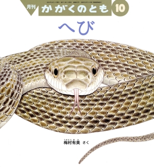 月刊かがくのとも(10 2024) 月刊誌