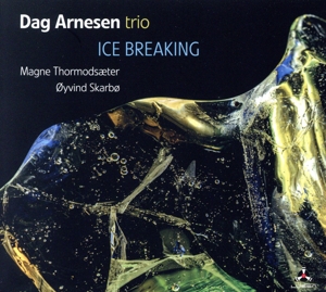 【輸入盤】Ice Breaking