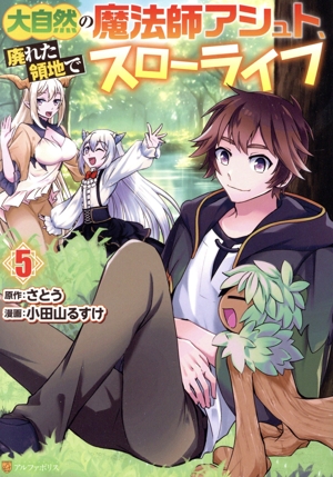 大自然の魔法師アシュト、廃れた領地でスローライフ(5) アルファポリスC