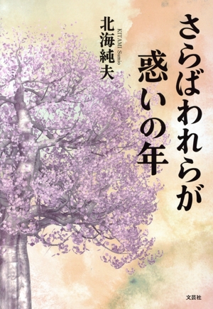 さらばわれらが惑いの年