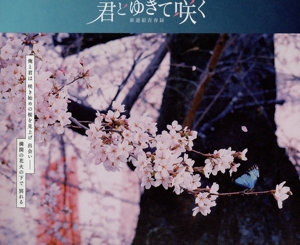 『君とゆきて咲く～新選組青春録～』 DVD-BOX
