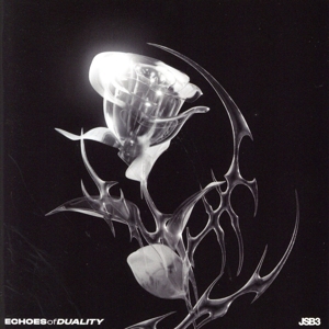 ECHOES of DUALITY(DVD付)