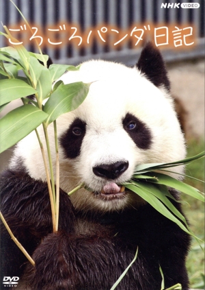 ごろごろパンダ日記