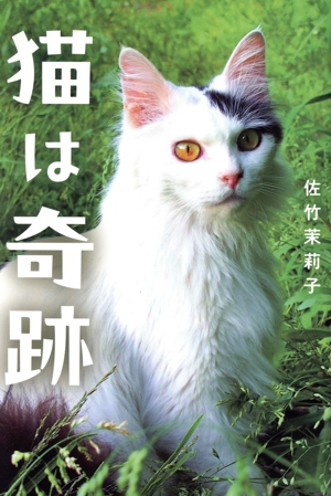 猫は奇跡