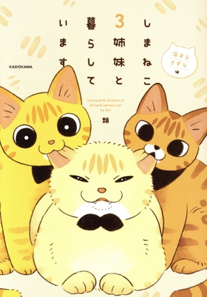 しまねこ3姉妹と暮らしています 深まるきずな編 コミックエッセイ