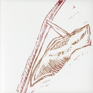蛹