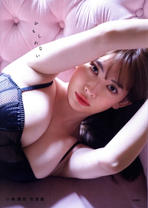 小嶋陽菜写真集 かもしれない