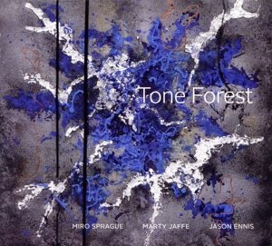 【輸入盤】Tone Forest