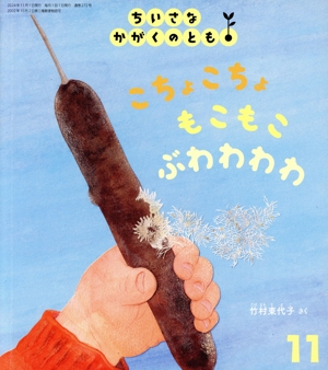 ちいさなかがくのとも(11 2024) こちょこちょ もこもこ ぶわわわわ 月刊誌