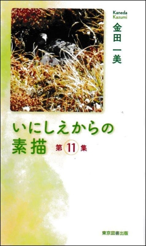 いにしえからの素描(第11集) TTS新書