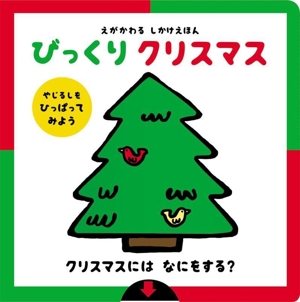 びっくり クリスマス えがかわる しかけえほん