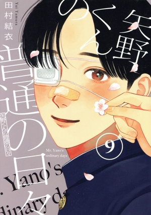 矢野くんの普通の日々(9) モーニングKC