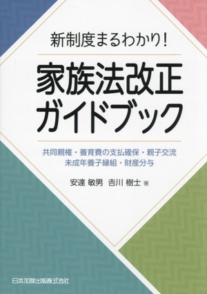 新制度まるわかり！家族法改正ガイドブック 共同親権・養育費の支払確保・親子交流・未成年養子縁組・財産分与