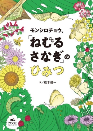 モンシロチョウ、「ねむる さなぎ」のひみつ