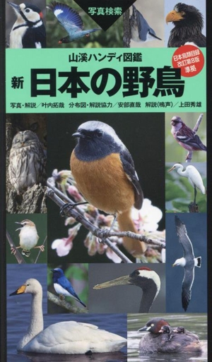 新 日本の野鳥 山溪ハンディ図鑑