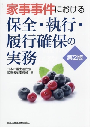 家事事件における保全・執行・履行確保の実務 第2版