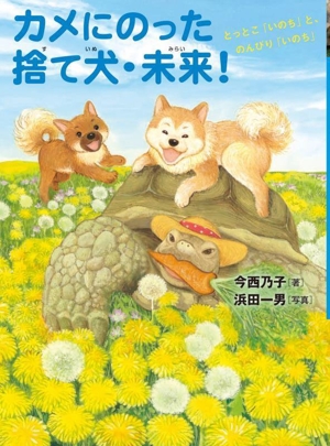 カメにのった捨て犬・未来！ とっとこ「いのち」と、のんびり「いのち」