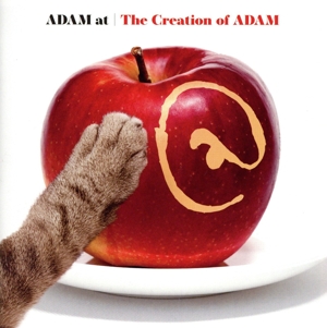 The Creation of ADAM