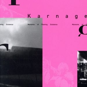 Moments of Fleeting Existence