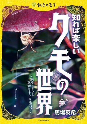 知れば楽しいクモの世界 網のひみつと忍者のような能力!? ちしきのもり