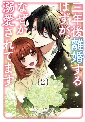 三年後離婚するはずが、なぜか溺愛されてます(2) ゼロサムC