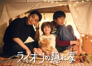 ライオンの隠れ家 DVD-BOX