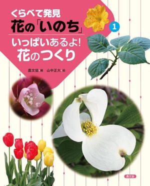 くらべて発見花の「いのち」(1) いっぱいあるよ！花のつくり